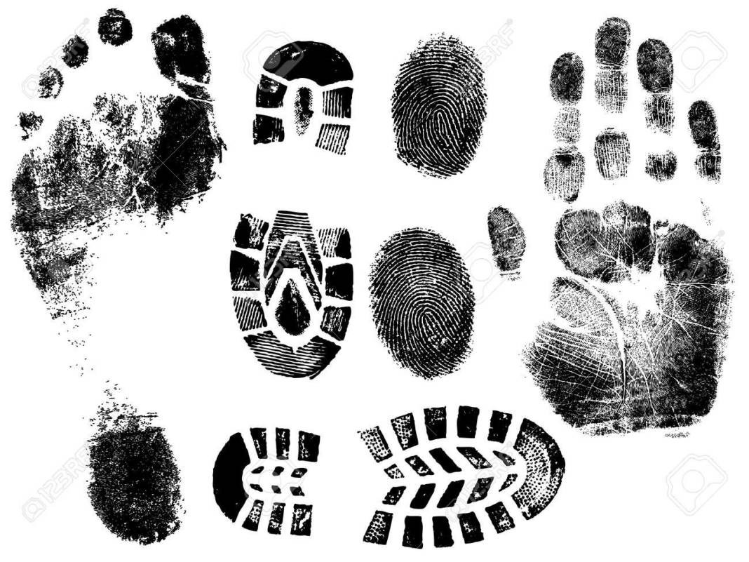 Ayak parmaklarımızdaki izler el parmak izlerimizle aynı mıdır? - Resim: 1